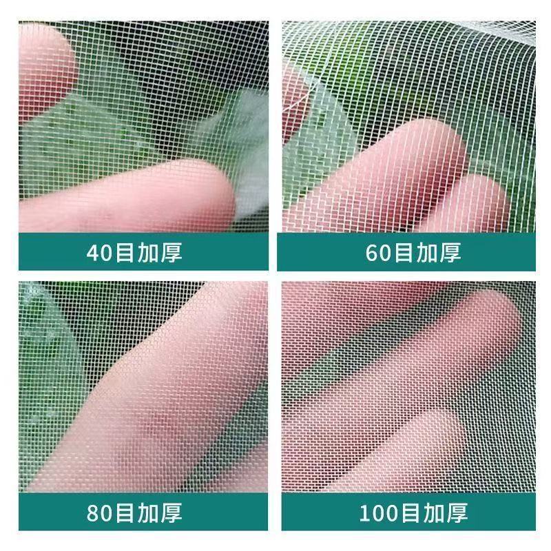 防虫网果蔬瓜菜苗木种植防虫网果园防虫大棚防虫养殖场防虫网