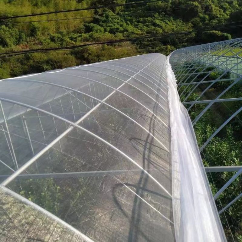防虫网果蔬瓜菜苗木种植防虫网果园防虫大棚防虫养殖场防虫网