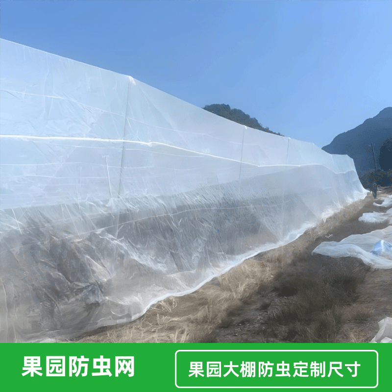 防虫网果蔬瓜菜苗木种植防虫网果园防虫大棚防虫养殖场防虫网