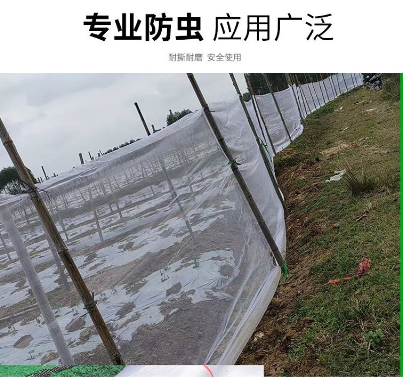 防虫网果蔬瓜菜苗木种植防虫网果园防虫大棚防虫养殖场防虫网