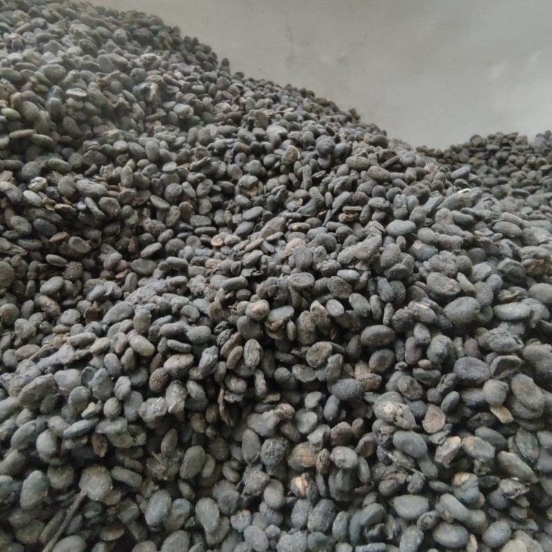 补骨脂故止道地药材尽在聚源中药