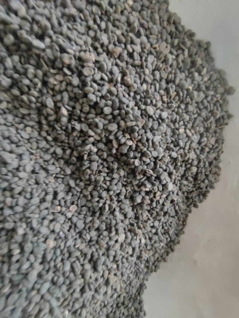 补骨脂故止道地药材尽在聚源中药