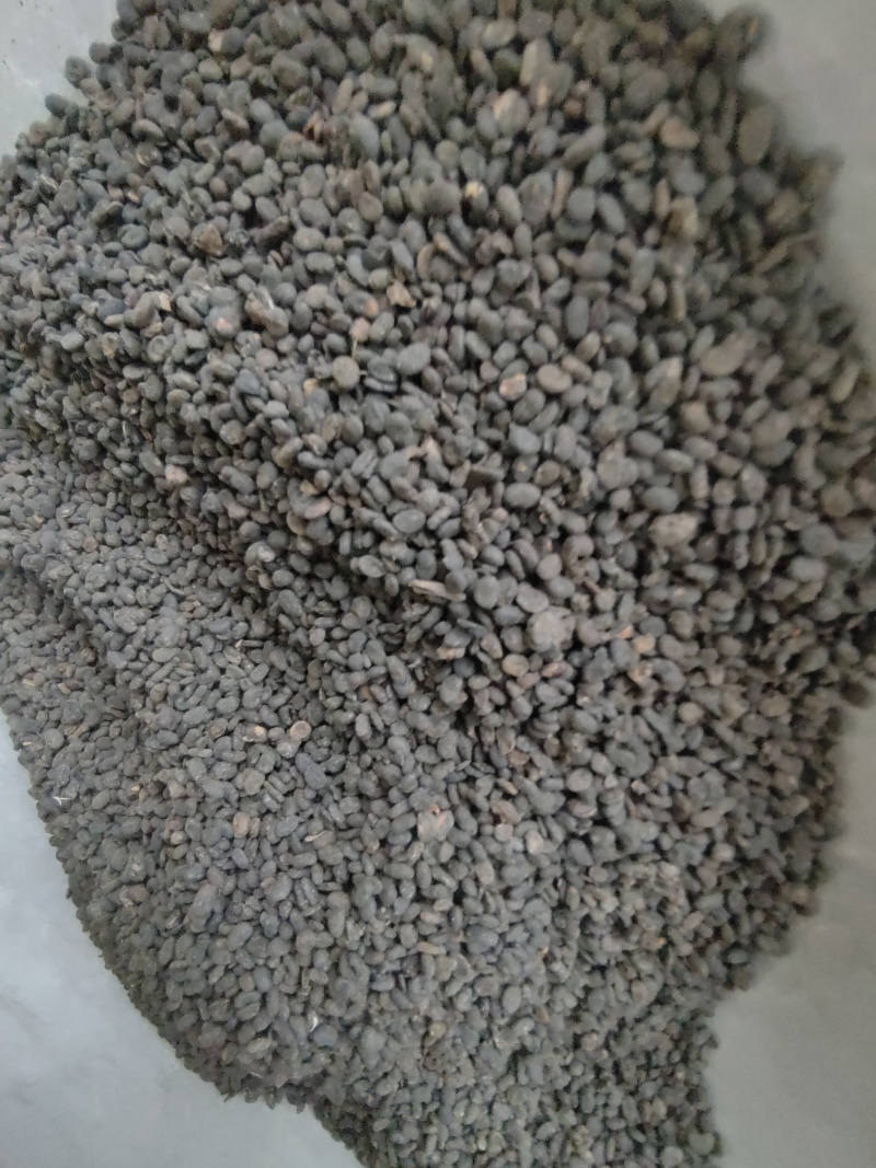 补骨脂故止道地药材尽在聚源中药