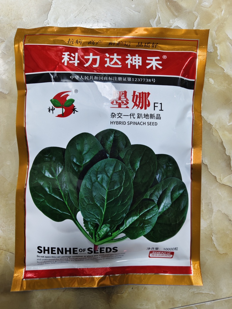 墨娜杂交趴地菠菜种子黑亮浓绿趴地菠菜种籽质嫩微甜耐寒