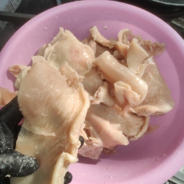 厂家直销熟隔膜筋，长期供应，价格合适，质量保障