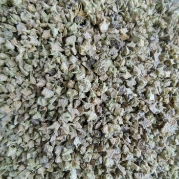 《蒺藜》白蒺藜刺蒺藜道地药材尽在聚源中药