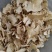 《白芨》白芨片三叉白芨旱白芨白芨粉道地药材尽在聚源