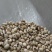 《白扁豆》扁豆炒扁豆黑门扁豆道地药材尽在聚源中药