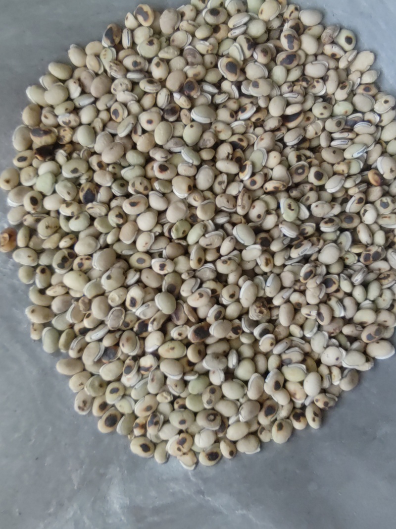 《白扁豆》扁豆炒扁豆黑门扁豆道地药材尽在聚源中药