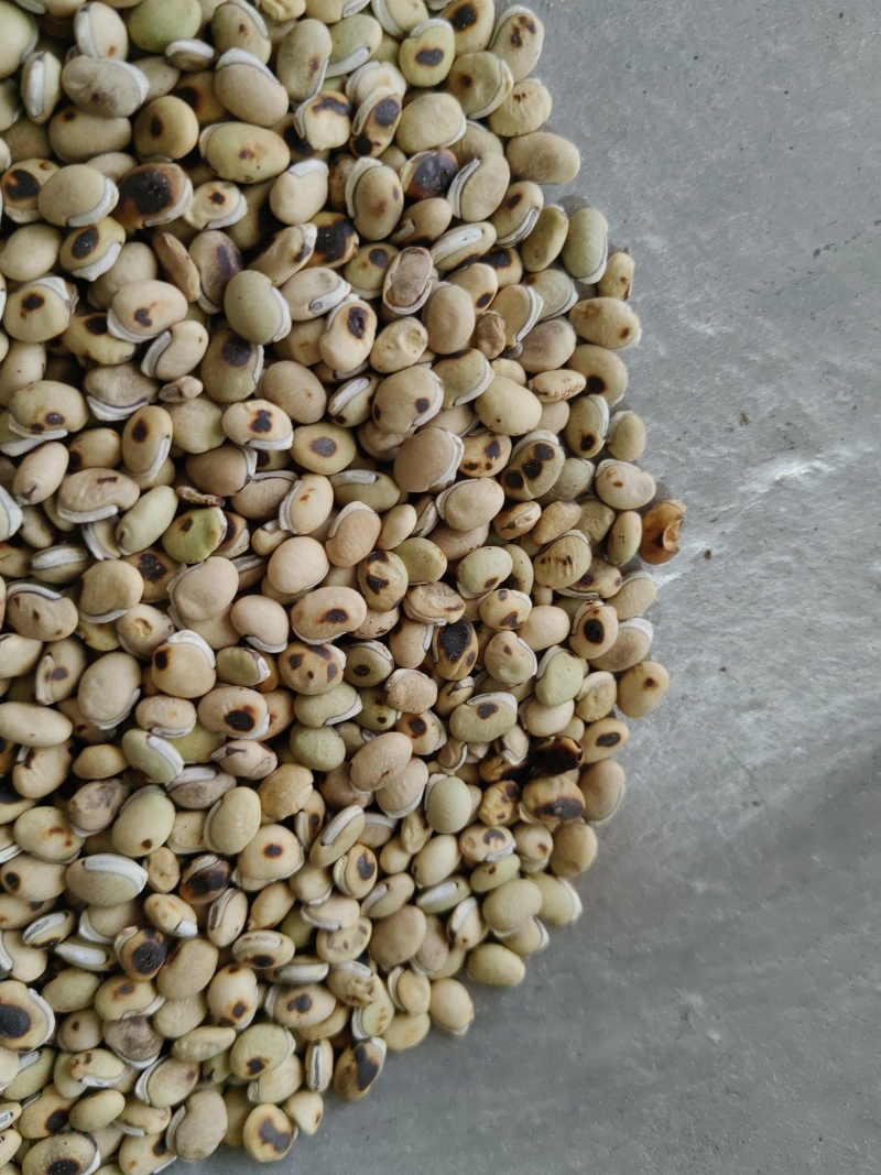 《白扁豆》扁豆炒扁豆黑门扁豆道地药材尽在聚源中药