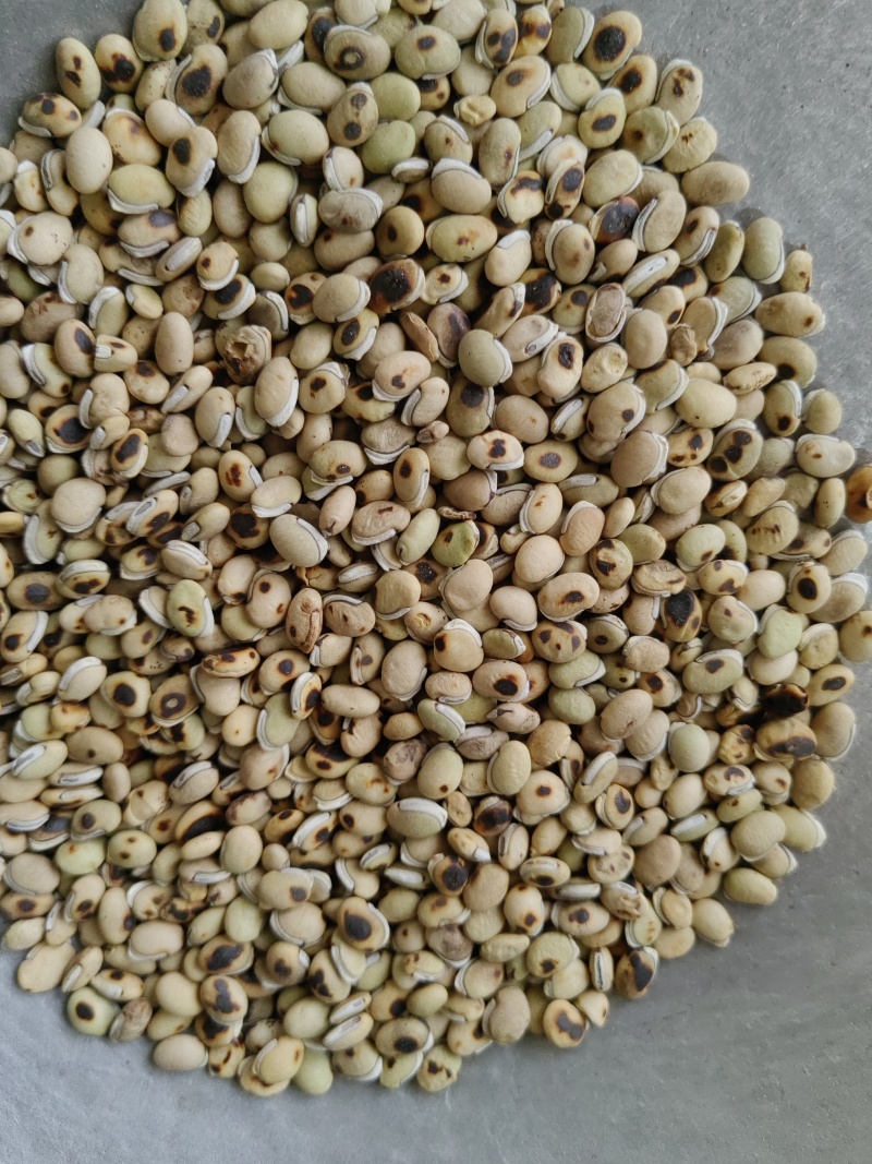 《白扁豆》扁豆炒扁豆黑门扁豆道地药材尽在聚源中药