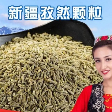新疆孜然