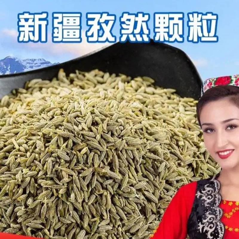 新疆孜然