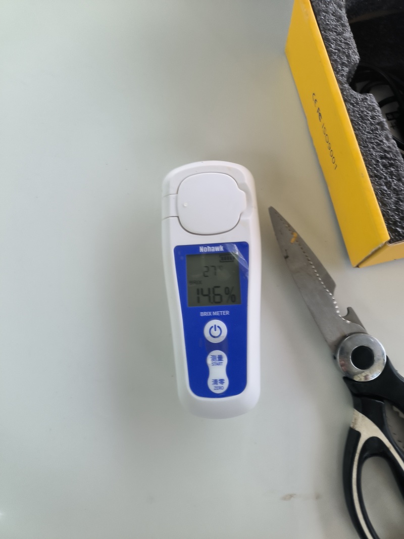 江苏丰县大沙河中桃十黄金刚黄甜桃大量有货
