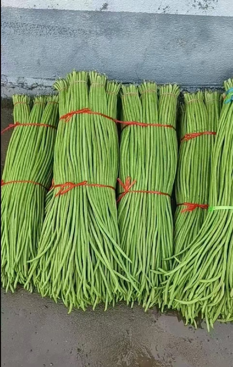 长豆角缸豆高山豆角湖北长豆角一手货源保质保量