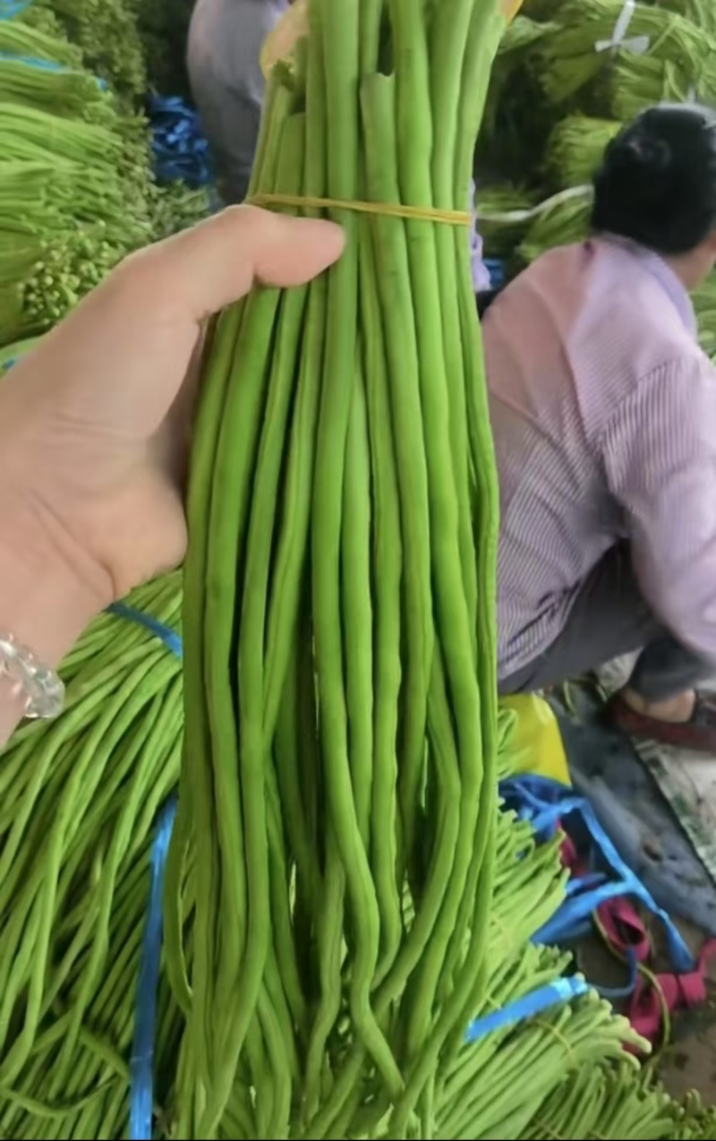 长豆角缸豆高山豆角湖北长豆角一手货源保质保量