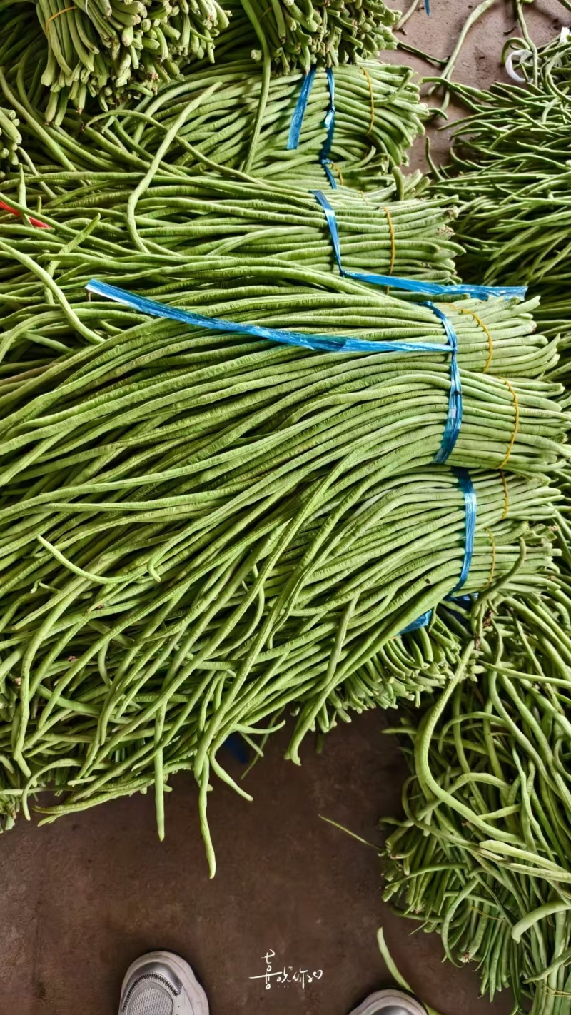 长豆角缸豆高山豆角湖北长豆角一手货源保质保量