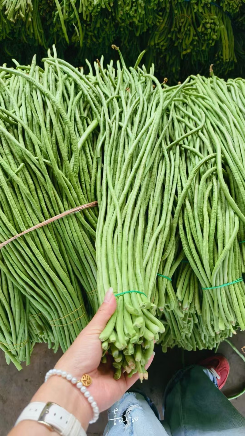 长豆角缸豆高山豆角湖北长豆角一手货源保质保量