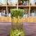 125克（明前嫩芽雀舌）新茶雀舌全芽尖茶叶绿茶