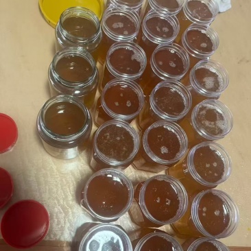 江西水库大山***7-9天成熟蜂蜜，蜂农直供
