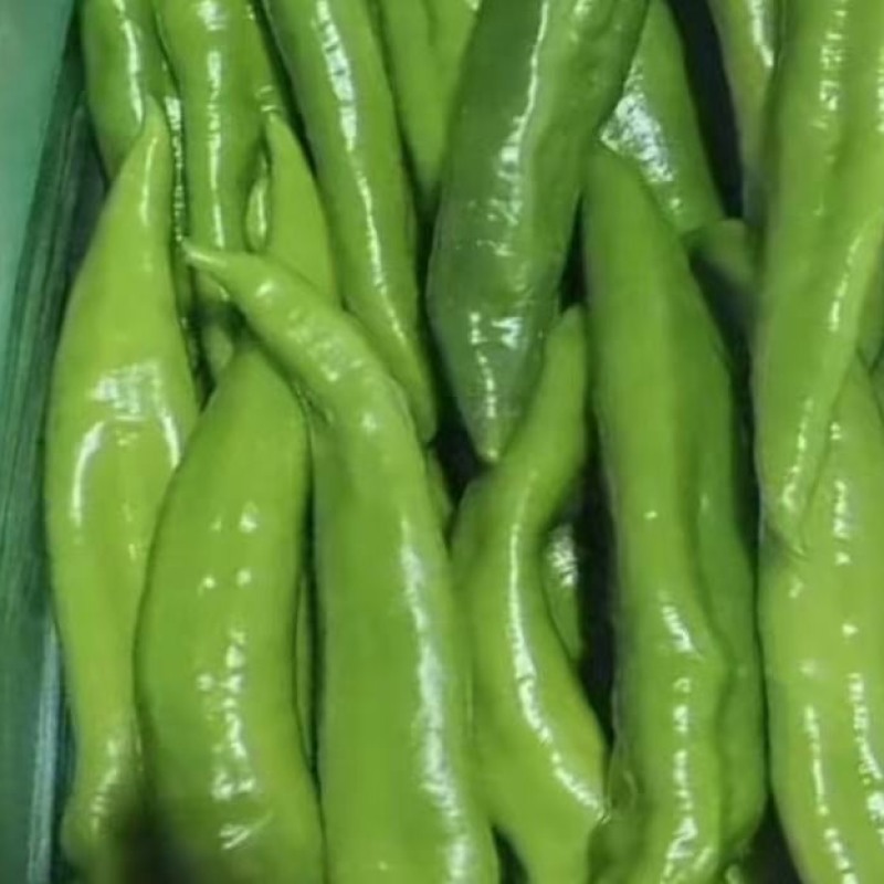 河北唐山一级精品尖椒，河北A级精品尖椒，河北唐山尖椒