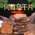 正宗何首乌片正宗野生何首乌正品中药材何首乌干片云南秦岭