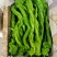 山东一级精品螺丝椒，山东A级精品螺丝椒，山东螺丝椒