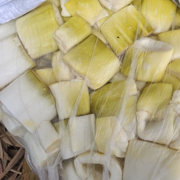 精品长筒，麻竹笋原料，可切收工条