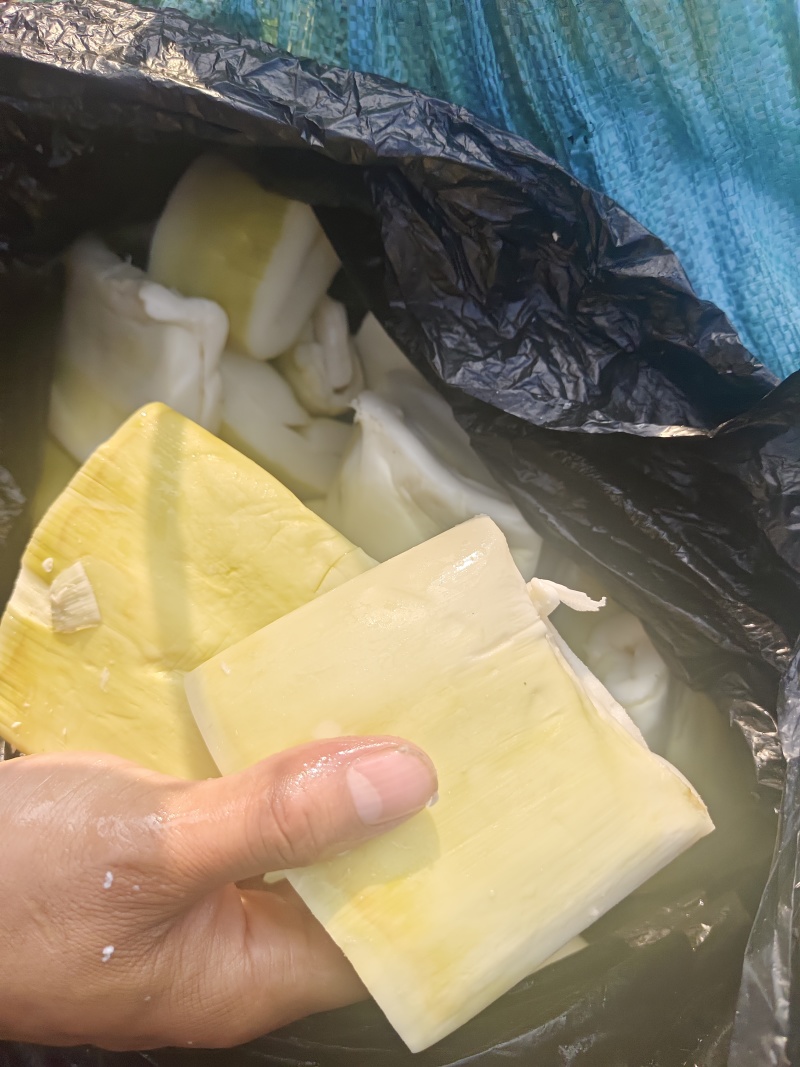 精品长筒，麻竹笋原料，可切收工条