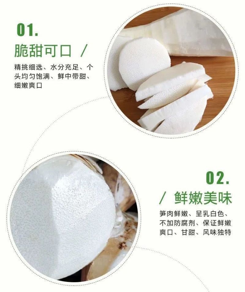 苦笋当季新鲜竹笋现挖野生大头笋麻竹笋带壳苦笋夏笋螺丝粉酸