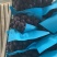 慈溪杭州湾巨峰葡萄上市中，欢迎电商，商超前来对接！