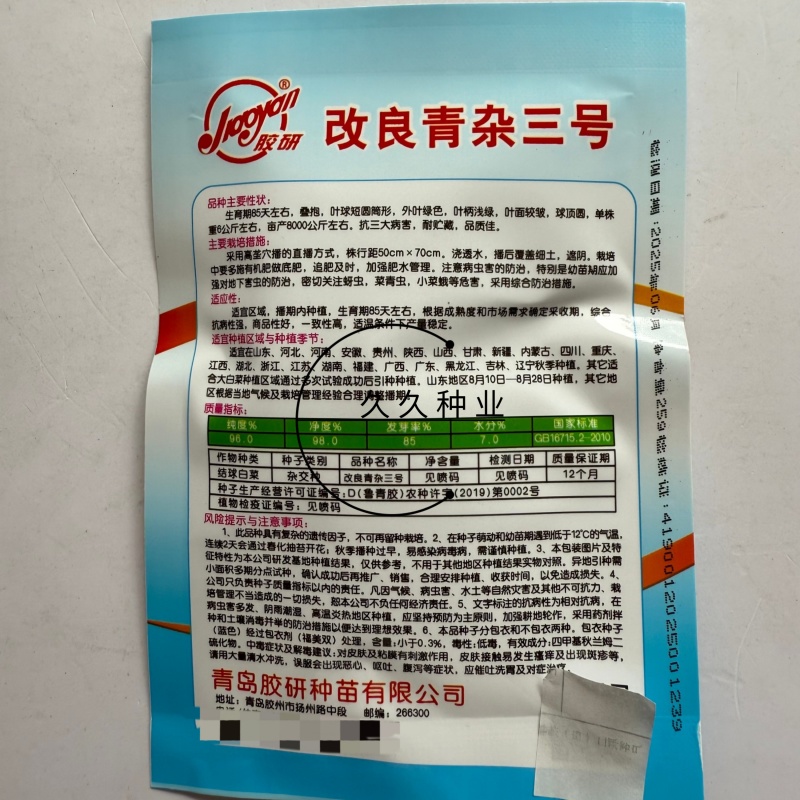 改良青杂三号大白菜种子农家秋季播蔬菜籽辣白菜泡菜