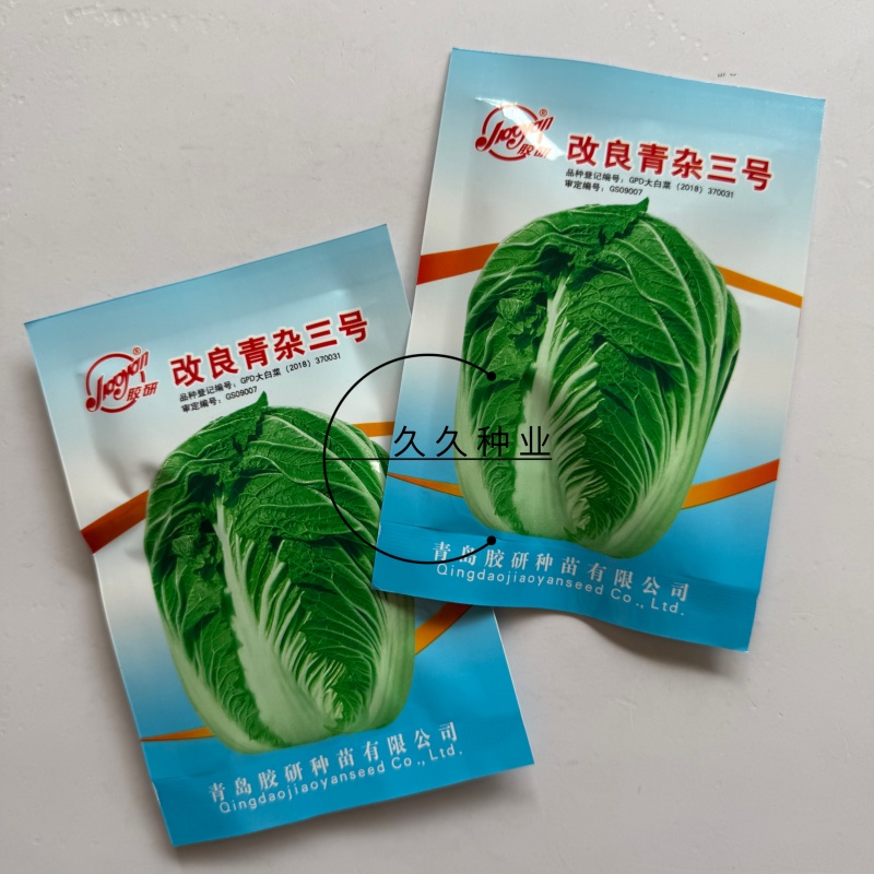 改良青杂三号大白菜种子农家秋季播蔬菜籽辣白菜泡菜