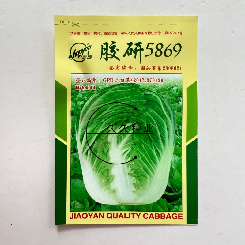 胶研5869大白菜种子青岛白菜种籽圆筒形叠抱秋播85天