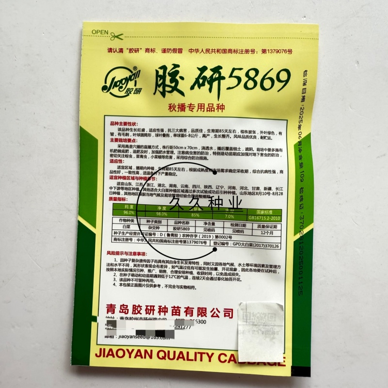 胶研5869大白菜种子青岛白菜种籽圆筒形叠抱秋播85天