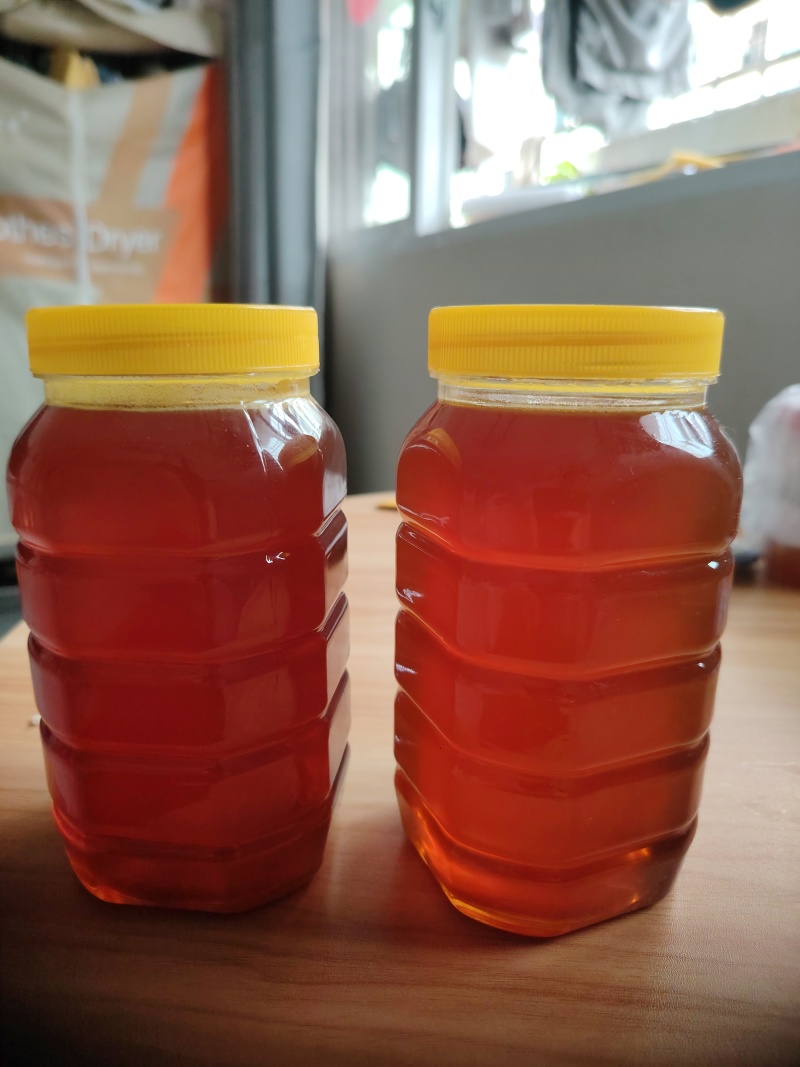 正宗四川二郎山大山百花蜜土蜂蜜现货货源充足