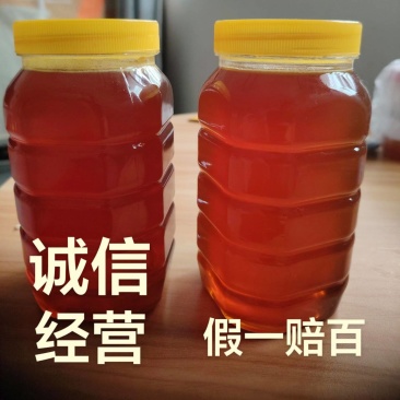正宗四川二郎山大山百花蜜土蜂蜜现货货源充足