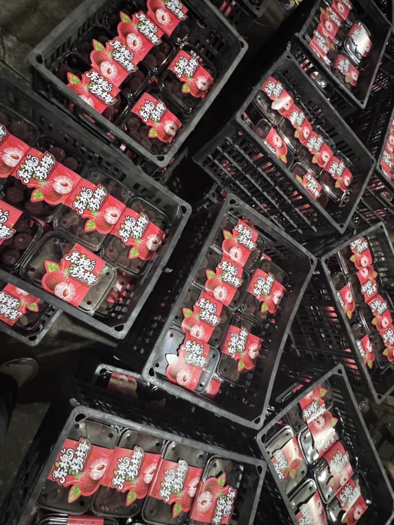 浙江精品东魁杨梅大量接单接代发接团购/超市直供/价格便宜