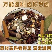 卤料秘制五香大全商用配方家用炖肉料散装散称正宗卤料包混合