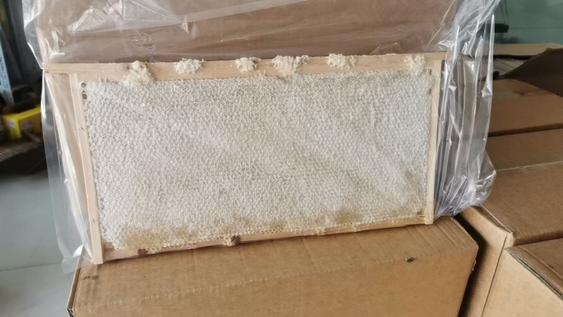 整张蜜脾礼盒装精品大张蜂巢蜜高端木质礼盒装送礼倍有面子
