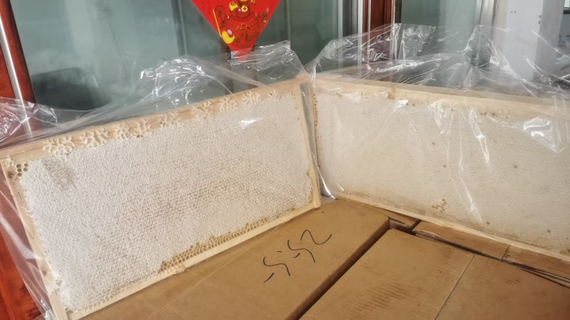 整张蜜脾礼盒装精品大张蜂巢蜜高端木质礼盒装送礼倍有面子