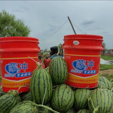 吊瓜大量上市，质量好，需要的老公欢迎采购，