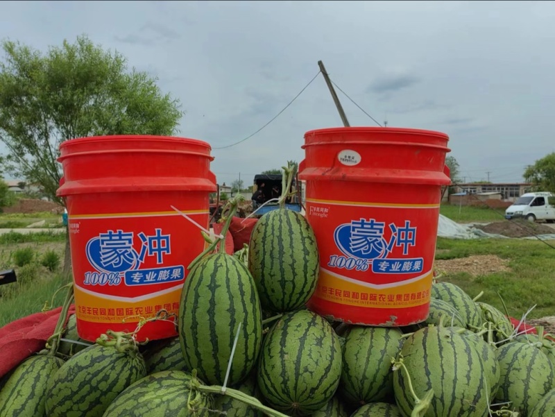 吊瓜大量上市，质量好，需要的老公欢迎采购，