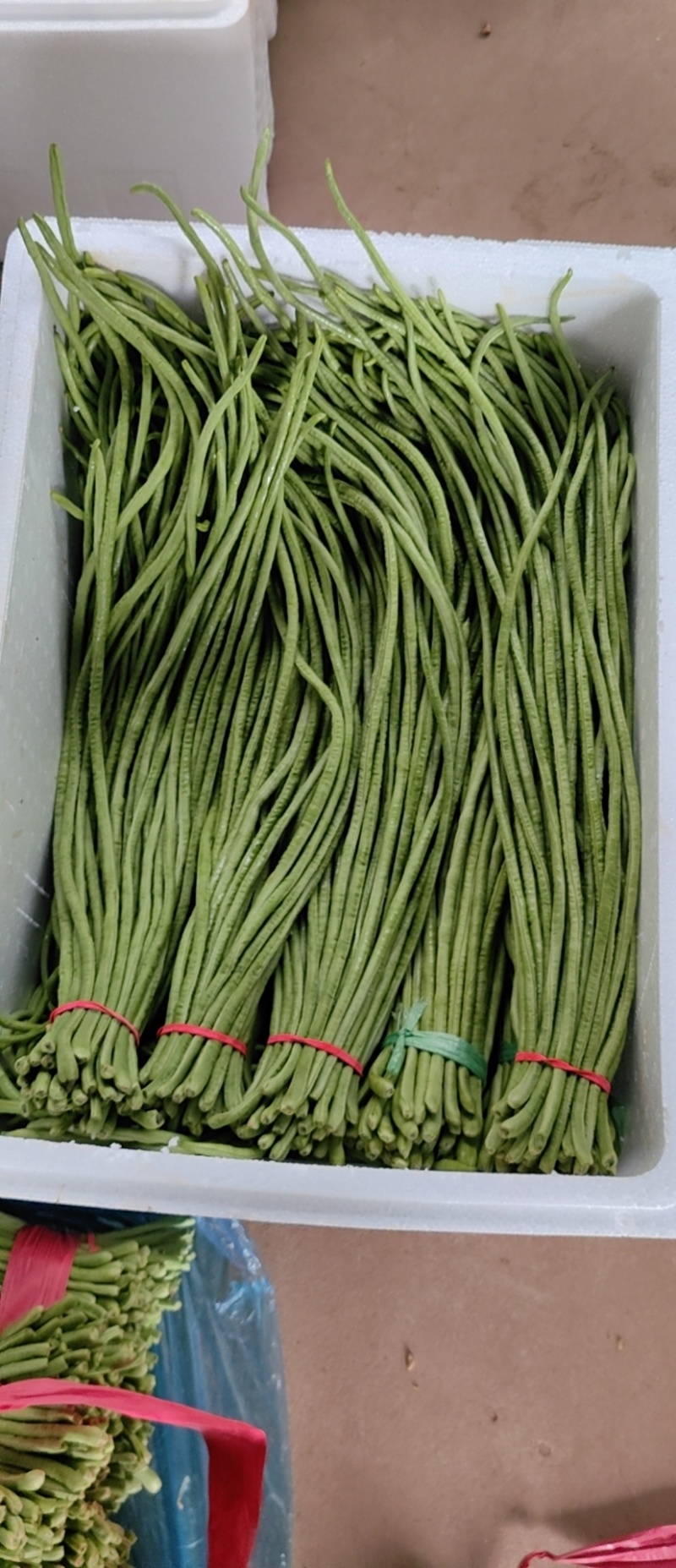 永年长豆角大量现货产地直发需要的老板与我联系，