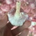 【蒜种】金乡太空蒜种大青稞蒜种原种保证质量诚信为本