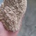 麦麸养殖用鸡鸭鹅猪牛羊黄粉虫养殖饲料