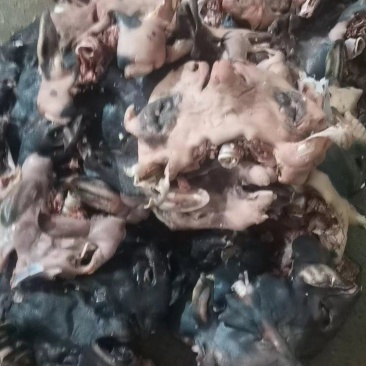全熟黑羊头肉