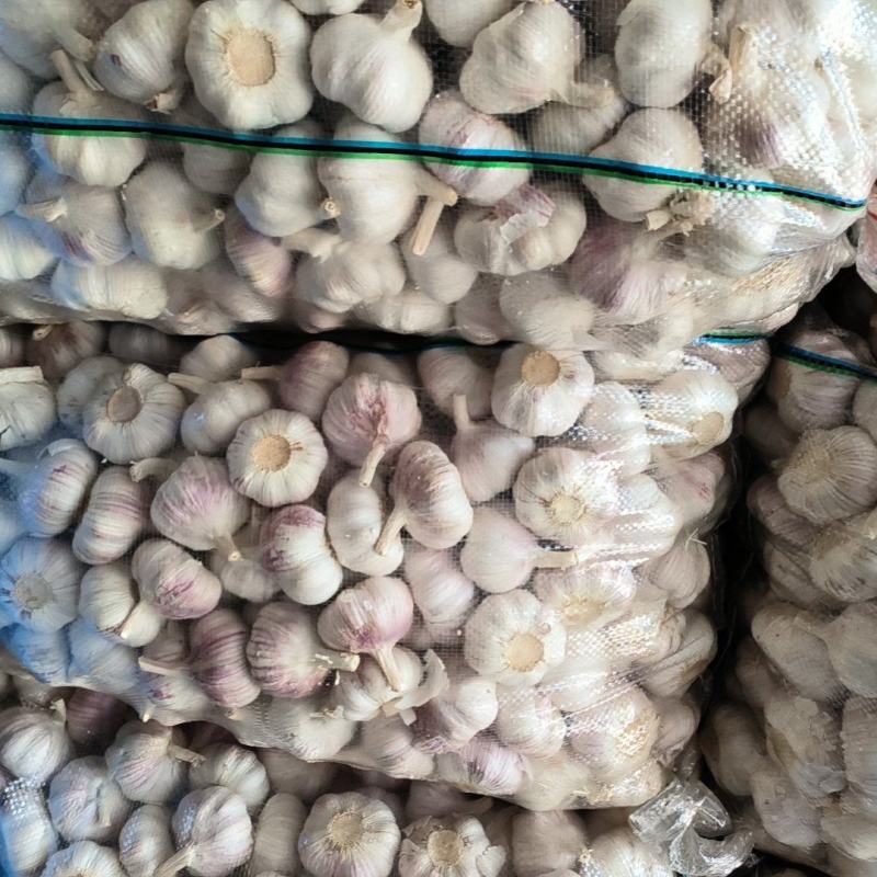 邳州精品大蒜，品质好，价格低，主打高端大型超市，商场，