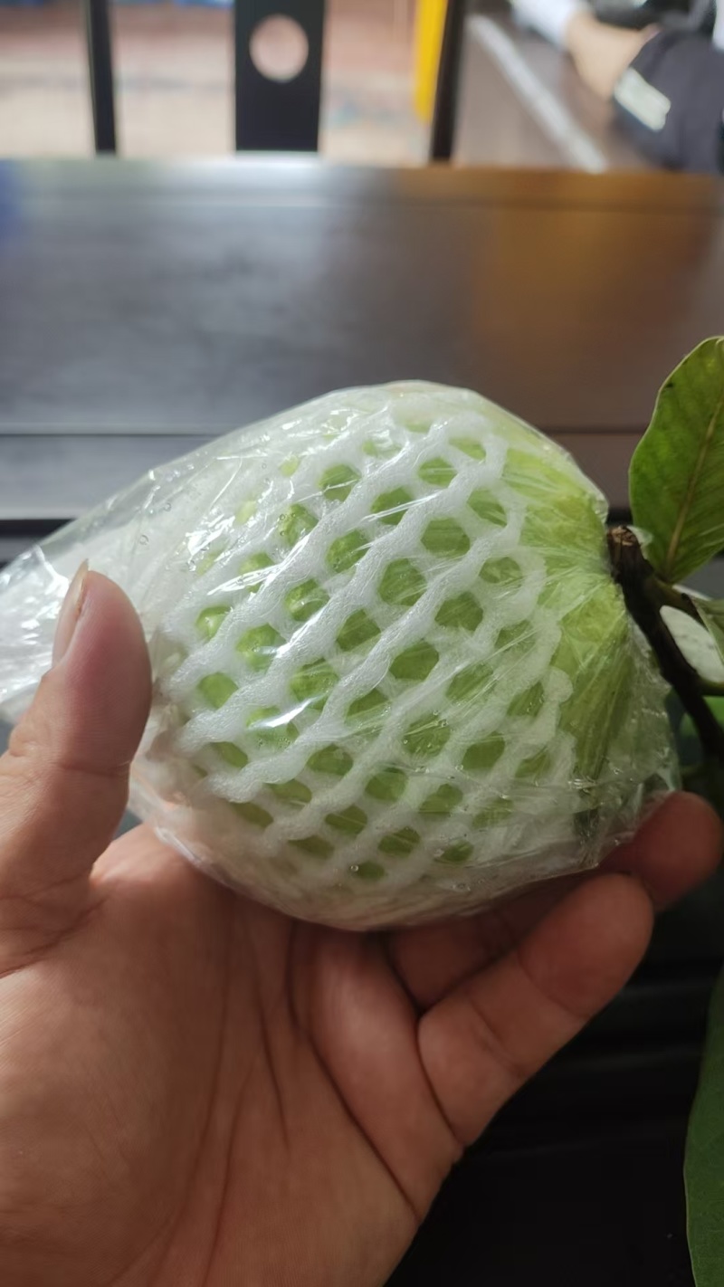 大量上市，欢迎预订。
