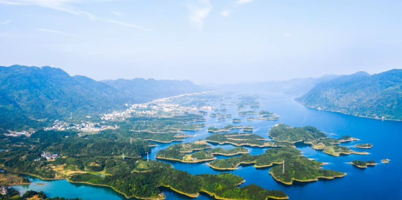 大粒浙江覆盆子干果正宗覆盆子泡酒泡水特级覆盆子产地优选